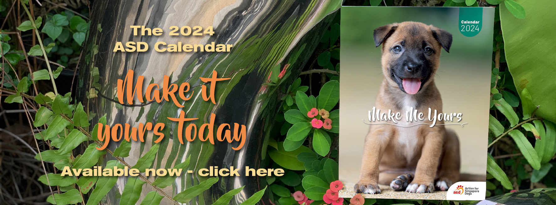 Action for Singapore Dogs